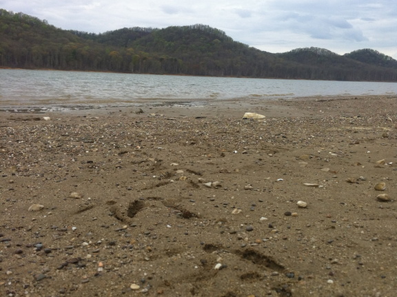 Lockegee Rock and Cave Run Lake